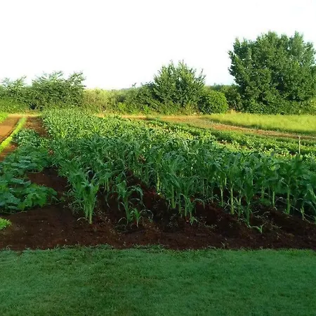 Lovley Rural With Garden Pula
